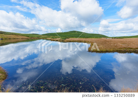 北海道大雪山沼之平的秋日草地、樹葉和池塘景色 133250889