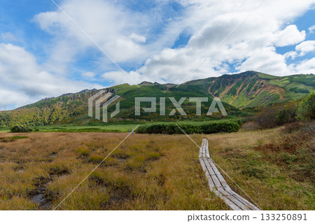 北海道大雪山沼之平的秋日草地、樹葉和池塘景色 133250891
