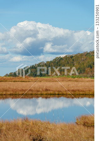 北海道大雪山沼之平的秋日草地、樹葉和池塘景色 133250901
