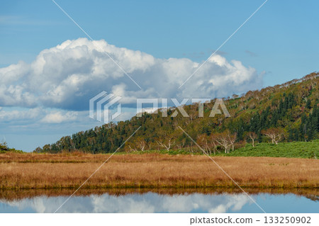 北海道大雪山沼之平的秋日草地、樹葉和池塘景色 133250902