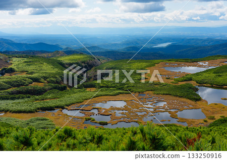 北海道大雪山沼之平的秋日草地、樹葉和池塘景色 北海道大雪山沼之平的秋日草地、樹葉和池塘景色 133250916