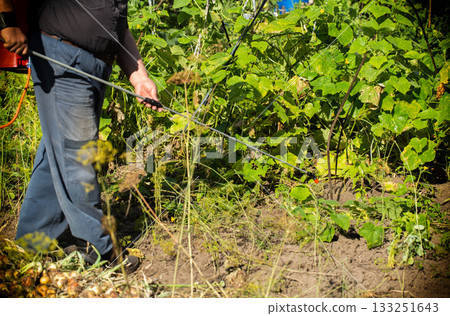 A pensioner with a modern red sprayer treats plants in the summer at his dacha. Increasing yield with succinic acid. Copy space for text, industry A pensioner with a modern red sprayer treats plants in the summer at his dacha. Increasing yield with succinic acid. Copy space for text, industry 133251643