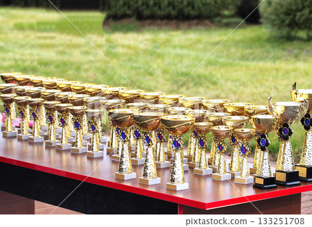 Numerous Golden Trophies Arranged On Table Outdoors. Awards Are Ready For Competition Winners Presentation. 133251708