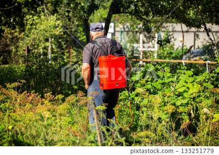 A summer resident treats plants in the summer from parasites. Plant protection from diseases, copy space for text, industry A summer resident treats plants in the summer from parasites. Plant protection from diseases, copy space for text, industry 133251779