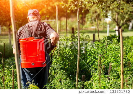 A male summer resident with a red modern sprayer treats tomatoes in the summer to stimulate growth and fruiting. Copy space for text, industry A male summer resident with a red modern sprayer treats tomatoes in the summer to stimulate growth and fruiting. Copy space for text, industry 133251780