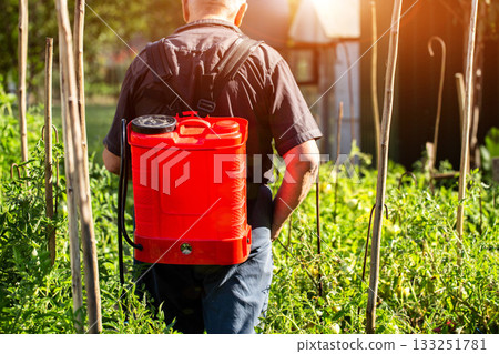 An elderly man at his dacha treats tomatoes against parasites and to stimulate growth in the summer, background. Copy space for text, industry An elderly man at his dacha treats tomatoes against parasites and to stimulate growth in the summer, background. Copy space for text, industry 133251781