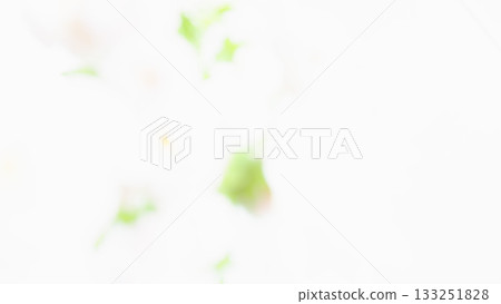 春天柔和模糊的背景，可愛的白色背景 133251828