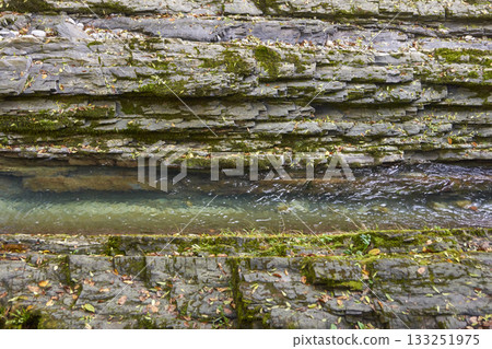 Stream flowing through rocky terrain with layers of moss and fallen leaves 133251975