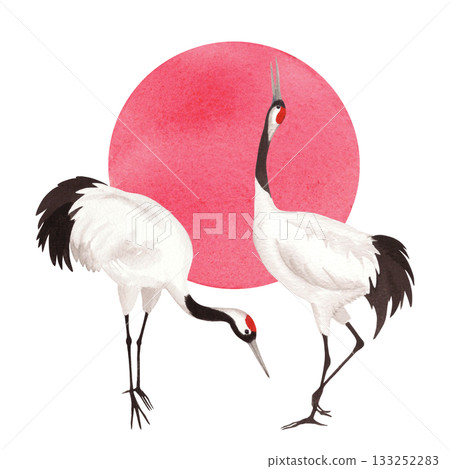 Two japanese red crown cranes with the sun on background. Watercolor handmade illustration. For fabric, wallpaper, greeting cards, design, decoration and illustration. Two japanese red crown cranes with the sun on background. Watercolor handmade illustration. For fabric, wallpaper, greeting cards, design, decoration and illustration. 133252283