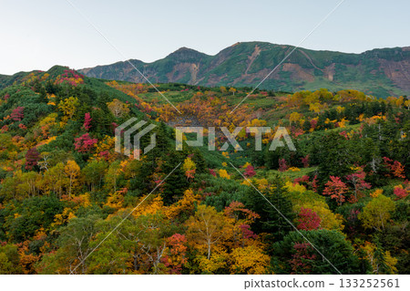 從十勝岳溫泉凌雲閣看到的十勝山紅葉(北海道上富良野市) 從十勝岳溫泉凌雲閣看到的十勝山紅葉(北海道上富良野市) 133252561