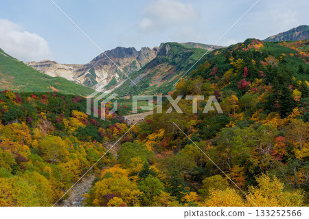 從十勝岳溫泉凌雲閣看到的十勝山紅葉(北海道上富良野市) 從十勝岳溫泉凌雲閣看到的十勝山紅葉(北海道上富良野市) 133252566
