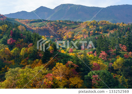 從十勝岳溫泉凌雲閣看到的十勝山紅葉（北海道上富良野市） 133252569