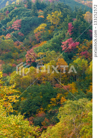 從十勝岳溫泉凌雲閣看到的十勝山紅葉(北海道上富良野市) 從十勝岳溫泉凌雲閣看到的十勝山紅葉(北海道上富良野市) 133252572
