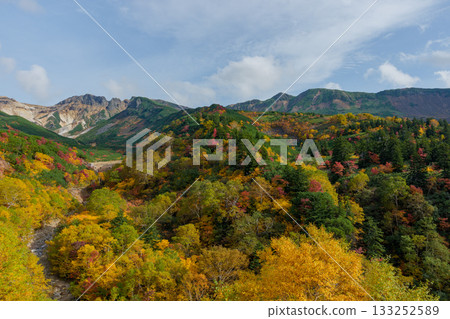 從十勝岳溫泉凌雲閣看到的十勝山紅葉(北海道上富良野市) 從十勝岳溫泉凌雲閣看到的十勝山紅葉(北海道上富良野市) 133252589
