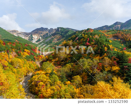 Autumn foliage of Mt. Tokachi seen from Ryounkaku in Tokachidake Onsen (Kami-Furano, Hokkaido) 133252590