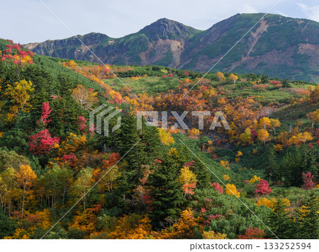 從十勝岳溫泉凌雲閣看到的十勝山紅葉(北海道上富良野市) 從十勝岳溫泉凌雲閣看到的十勝山紅葉(北海道上富良野市) 133252594