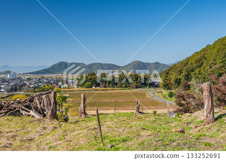 滋賀縣近江八幡市安土城遺址旁的森林已被砍伐殆盡 133252691