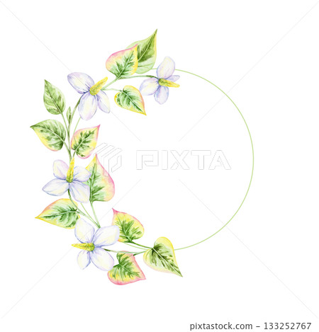 Floral half-wreath with white petals and pink-green leaves, watercolor illustration, hand drawn. This botanical border works for monograms, wedding stationery, branding, and decorative prints 133252767