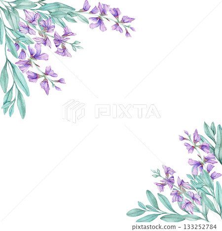 Watercolor illustration of purple sage flowers with green foliage, hand drawn corner clipart. Suitable for greeting cards, invitations, fabric designs, labels, posters, and packaging projects. Watercolor illustration of purple sage flowers with green foliage, hand drawn corner clipart. Suitable for greeting cards, invitations, fabric designs, labels, posters, and packaging projects. 133252784