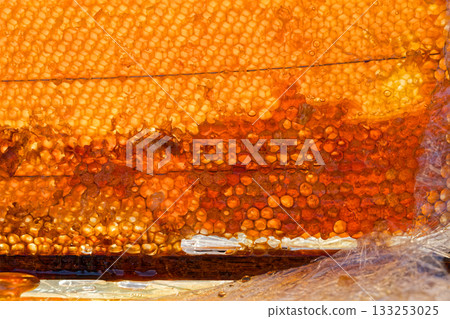beekeeping honeycomb 133253025