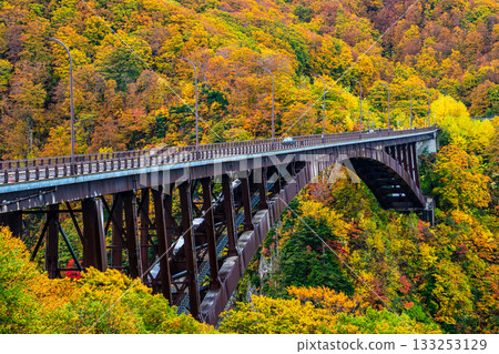 Autumn leaves at Jogakura Bridge [Aomori City, Aomori Prefecture] 133253129