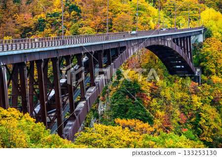 Autumn leaves at Jogakura Bridge [Aomori City, Aomori Prefecture] 133253130