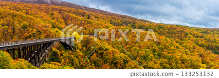 Panorama of autumn leaves at Jogakura Bridge [Aomori City, Aomori Prefecture] 133253132