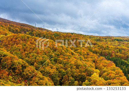 Autumn leaves at Jogakura Bridge [Aomori City, Aomori Prefecture] 133253133