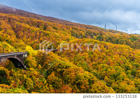 Autumn leaves at Jogakura Bridge [Aomori City, Aomori Prefecture] 133253138