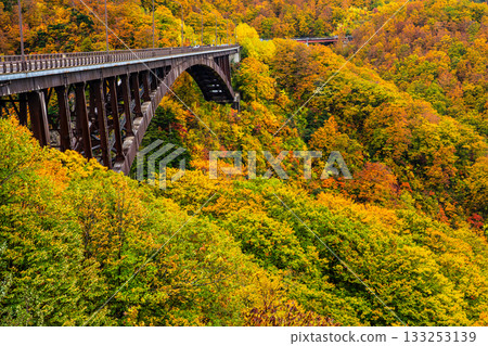 Autumn leaves at Jogakura Bridge [Aomori City, Aomori Prefecture] 133253139