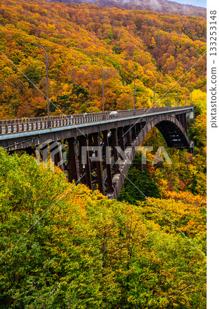 Autumn leaves at Jogakura Bridge [Aomori City, Aomori Prefecture] 133253148
