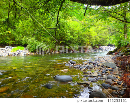 Early autumn Akikami River, mountain stream fishing in the sunlight filtering through the trees Early autumn Akikami River, mountain stream fishing in the sunlight filtering through the trees 133253161