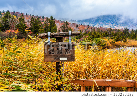 水蓮沼澤的秋葉（青森縣青森市） 133253182