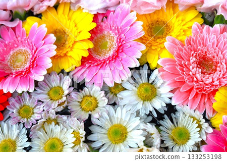colorful flower background colorful flower background 133253198