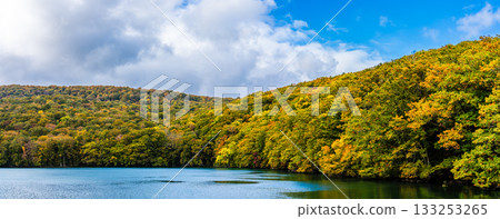 Panorama of autumn leaves at Tsutanuma Pond [Aomori City, Aomori Prefecture] 133253265