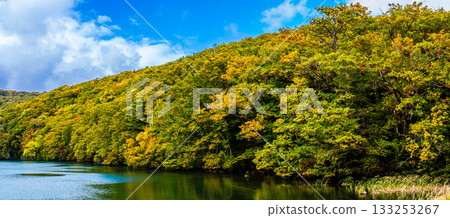 辻沼池秋葉全景 [青森縣青森市] 133253267