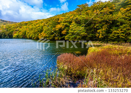 Autumn leaves at Tsuta Numa (Aomori City, Aomori Prefecture) Autumn leaves at Tsuta Numa (Aomori City, Aomori Prefecture) 133253270