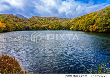 Autumn leaves at Tsuta Numa (Aomori City, Aomori Prefecture) 133253272