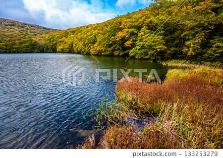Autumn leaves at Tsuta Numa (Aomori City, Aomori Prefecture) Autumn leaves at Tsuta Numa (Aomori City, Aomori Prefecture) 133253279
