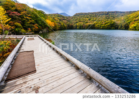 Autumn leaves at Tsuta Numa (Aomori City, Aomori Prefecture) 133253286