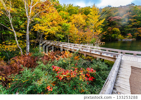 蔦沼的秋葉（青森郡青森市） 133253288
