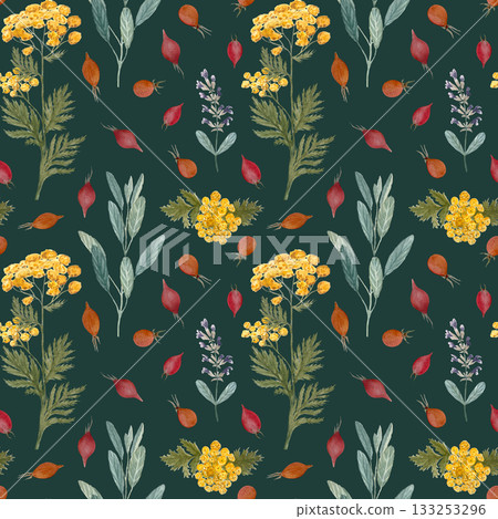 Sage, blue tansy, rose hip seamless pattern on dark green. Hand painted in watercolor. Herbal shop art for packages of an essential oil, herbal teas, infusions, wallpaper, wrapping paper, textile 133253296