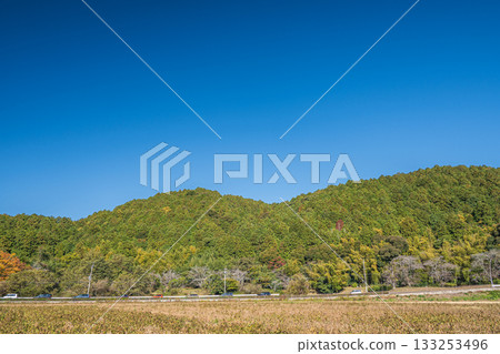 從山腳下的鄉村眺望安土山，滋賀縣近江八幡市 133253496