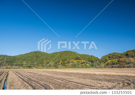 從山腳下的鄉村眺望安土山，滋賀縣近江八幡市 133253501
