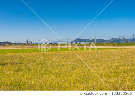 滋賀郡近江八幡市安土町的鄉村景色 滋賀郡近江八幡市安土町的鄉村景色 133253506