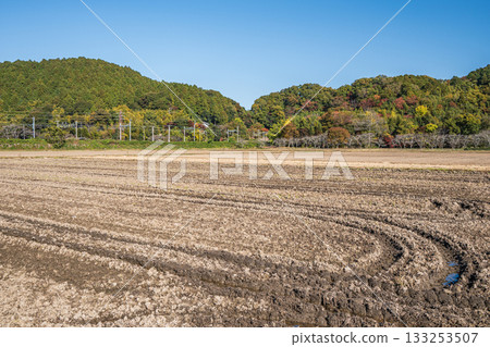 滋賀郡近江八幡市安土町的鄉村景色 133253507