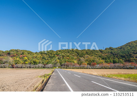 滋賀郡近江八幡市安土町的鄉村景色 133253511