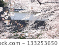 Castle scenery seen through cherry blossoms | Traditional Japanese aesthetics | Castle stone walls and white fences 133253650