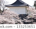 Castle turret surrounded by cherry blossoms in full bloom | Historical buildings and stone walls in Japan | Castle ruins in spring 133253651