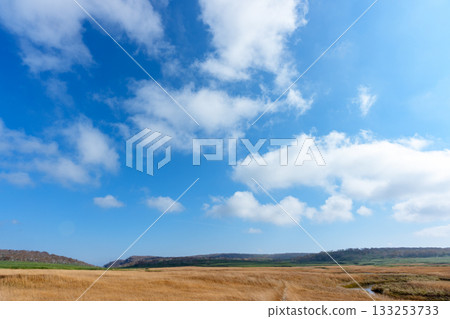 Autumn scenery of Uryu Numa marshland and boardwalks dyed in autumn leaves (Hokkaido) Autumn scenery of Uryu Numa marshland and boardwalks dyed in autumn leaves (Hokkaido) 133253733